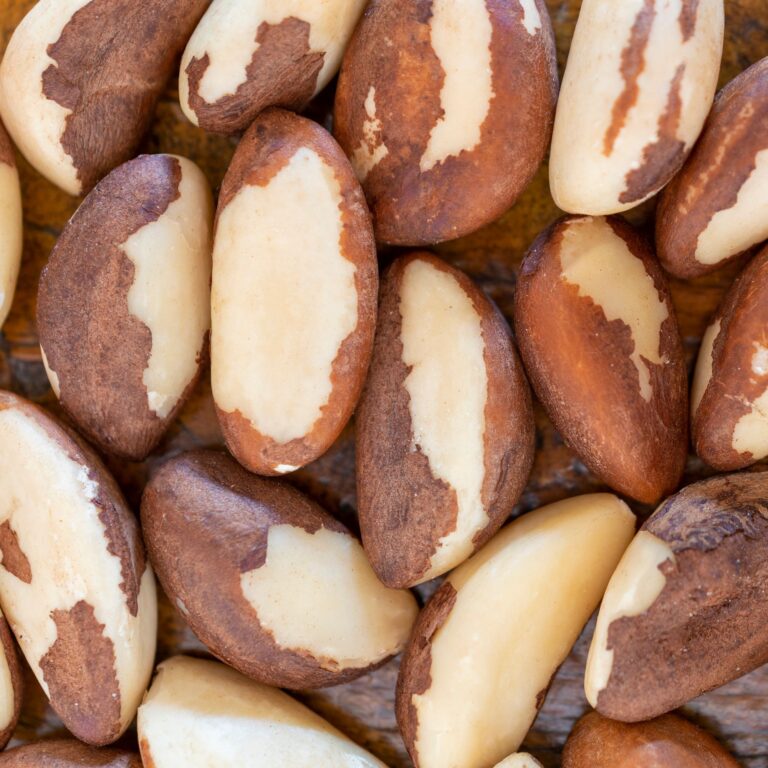 Brazilian Nuts