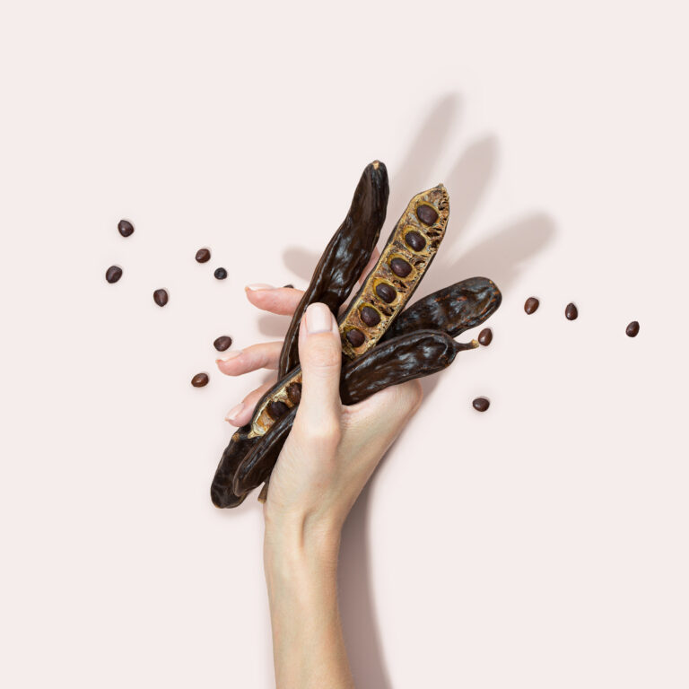 Organic Carob Pods, Seeds On A Pink Background In A Woman Hand, Locust Bean Healthy Food, Ceratonia Siliqua Harnup. Natural Vegan Eating. Creative Food Background. Copy Space. Square